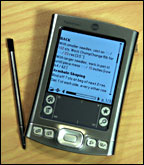 palm2.jpg